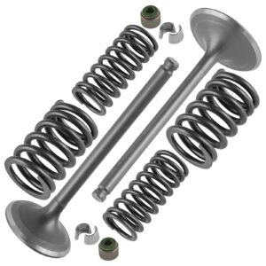 14711-HR6-MF0 14721-HR6-MF0 14761-HP0-A00 Intake & Exhaust Valve Kit For Honda