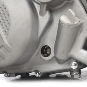 Engine for Zongshen 212CC,ZS 212CC Better Than Daytona 190CC Engine ,free kit - Image 2
