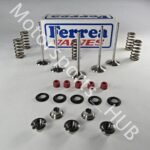 Yamaha YFZ450 YFZ 450 YFZ450R 450X Stock Ferrea Intake & Exhaust Valves Seals